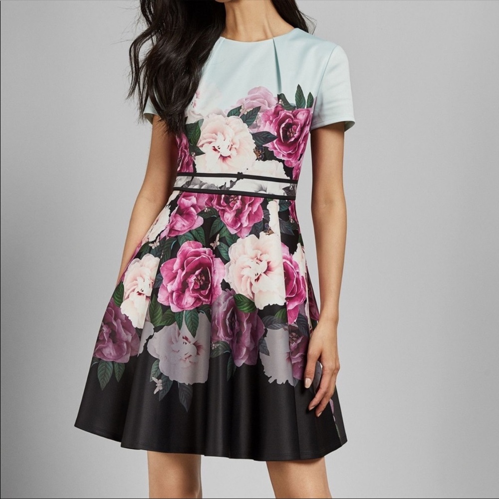 NEW Ted Baker Dress, size 0
